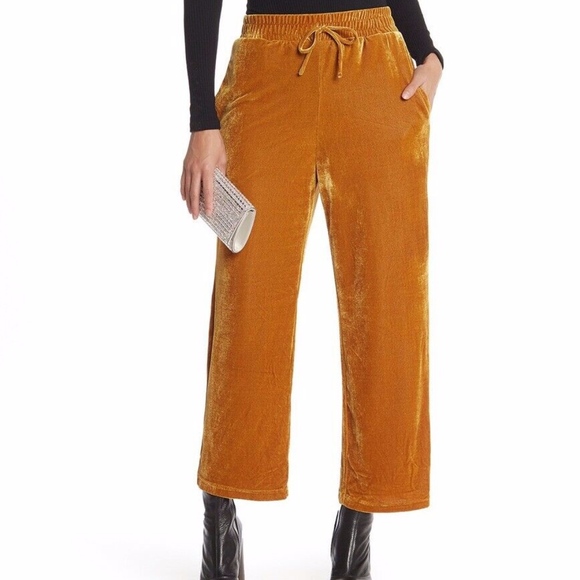 Elodie Pants - Elodie all sizes gold velvet stretch elastic waist Elodie Pants - Elodie all sizes gold velvet stretch elastic waist